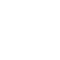 Exclusive Service Icon - Next Chapter Succession Planning